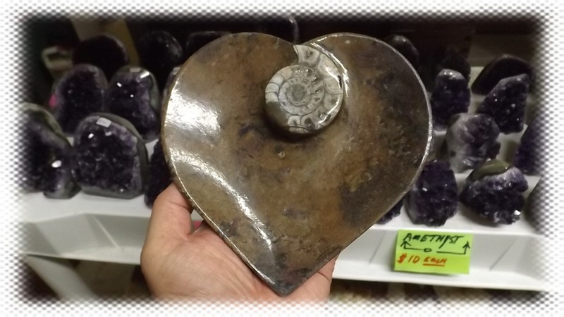 Polished Ammonite and Orthoceras Fossil Heart Plate (6"in) gallery