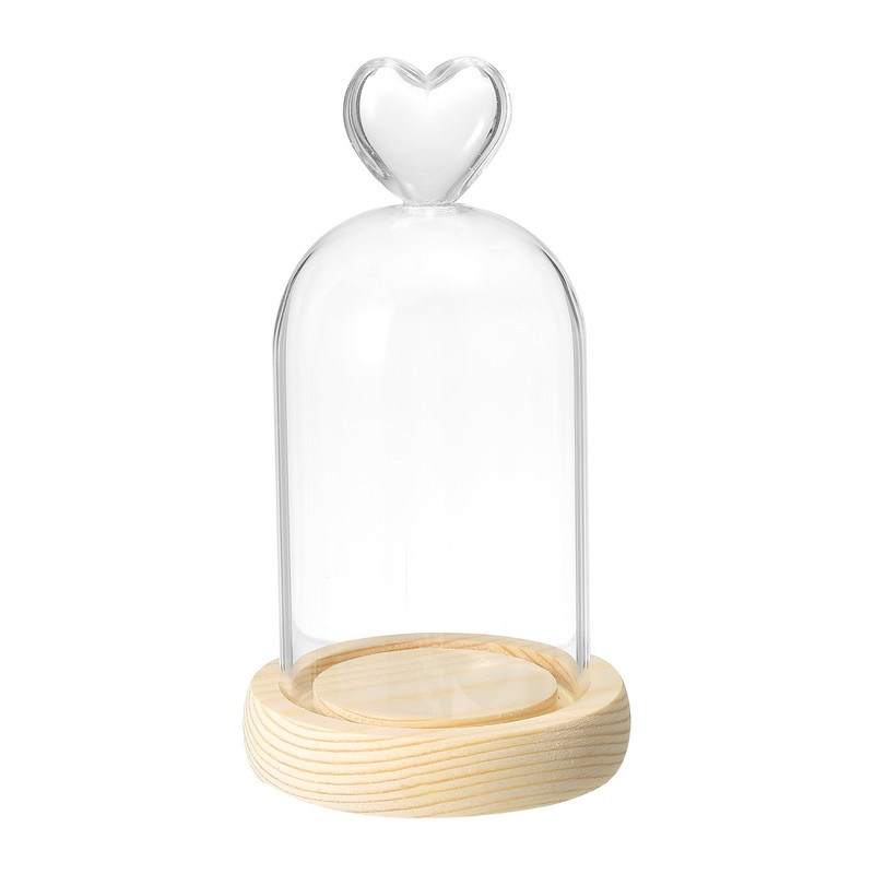 3.9″x2.4″ Glass Dome Cloche Clear Glass Bell Jar Display Case Natural