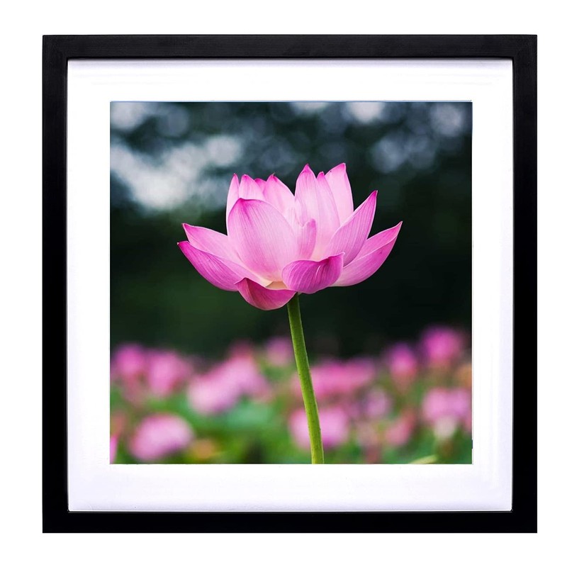 40×40 Diamond Painting Frames Picture Wood,Display Pictures16x16 Inch/ 40×40 …