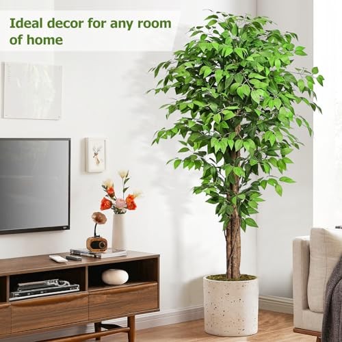 6.2ft Ficus Artificial Trees with 3 Natural Curved Trunks, 74" Tall 6ft 2in 1 gallery