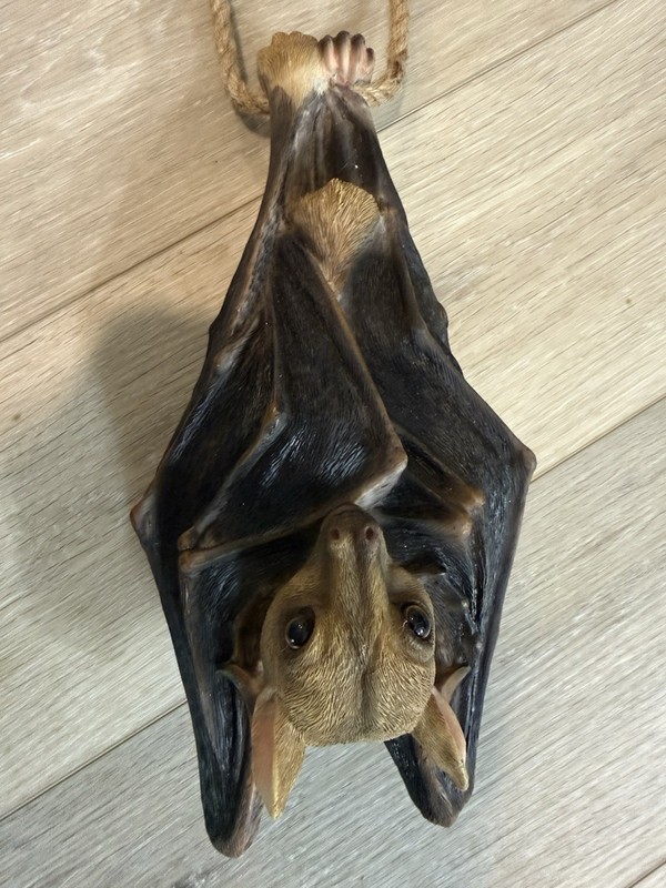 QM28985 Vampire Bat - Hanging Mega Bat Sculpture - Bat Figure - Halloween 12" gallery