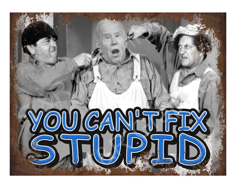 Joe Biden, You Can’t Fix Stupid 9”x12” Alum, Metal sign, Vintage sign