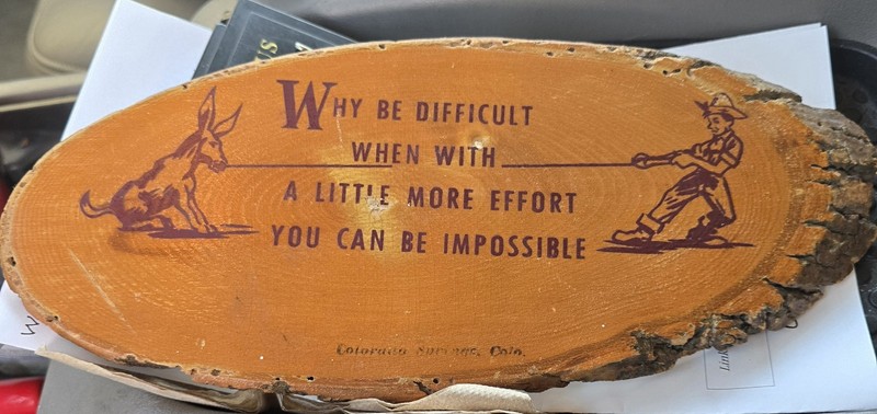 Vtg Wood Slice Plaque Bark Still Present Circa 1940s To 1960s With Sassy Saying