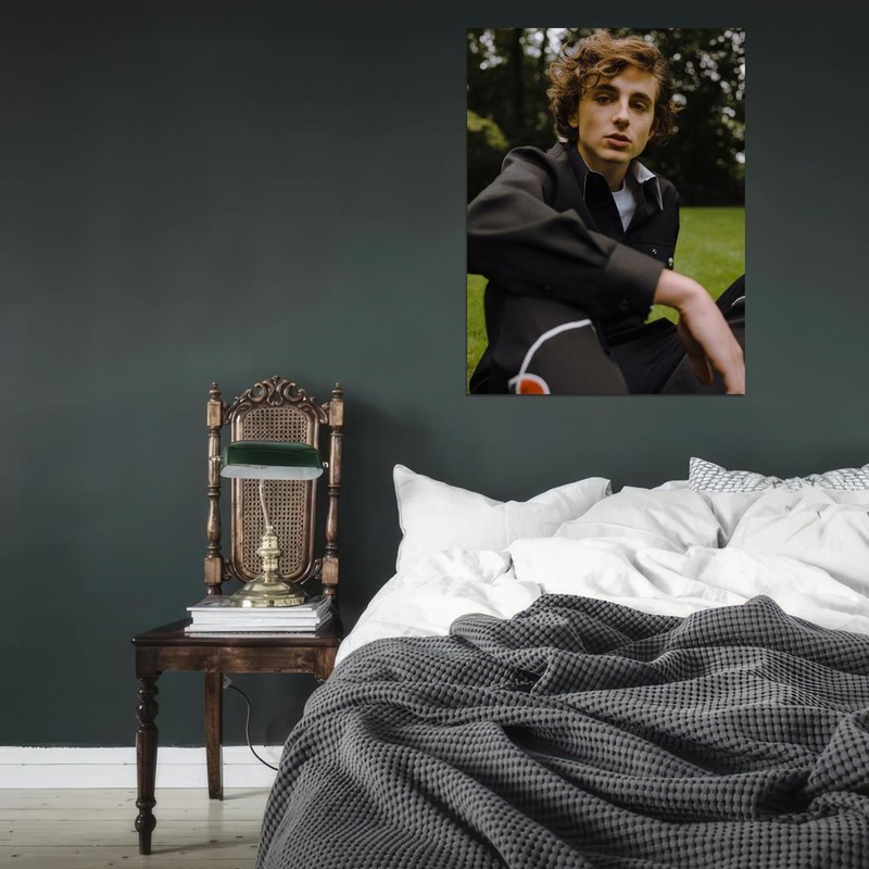 V8335 Timothee Chalamet Cool Portrait Nature Handsome Actor WALL POSTER PRINT CA gallery