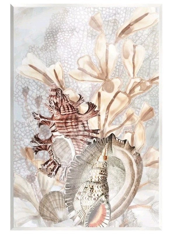 9409 Stupell Beige Seashells on A Reef Wood Wall Plaque 10 X 15 Wall Art New