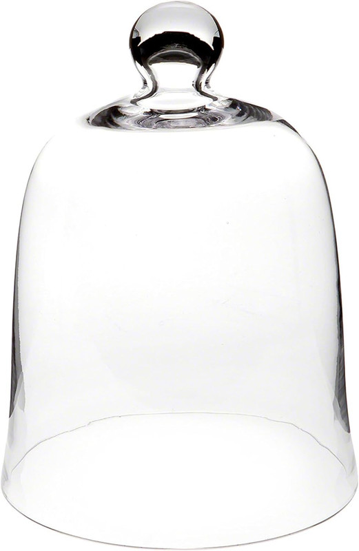 Elegant 8.5″ Glass Display Dome Cloche for Home Decor and Showcasing Items